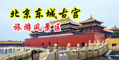 真人女人日逼中国北京-东城古宫旅游风景区